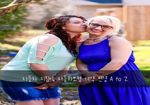 자동차 지킴이, 자동차보험 계약 변경 A to Z