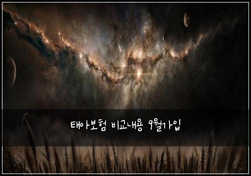 태아보험 비교내용  9월가입