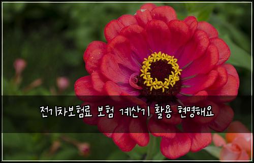 전기차보험료 보험 계산기 활용 현명해요