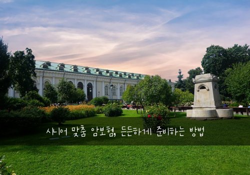 시니어 맞춤 암보험, 든든하게 준비하는 방법