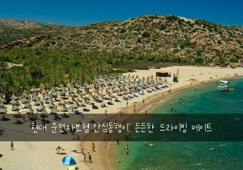 현대 운전자보험 안심동행이: 든든한 드라이빙 메이트