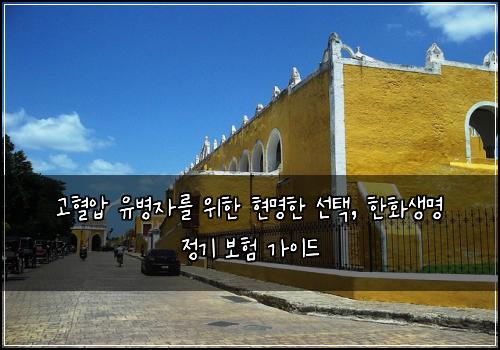  고혈압 유병자를 위한 현명한 선택, 한화생명 정기 보험 가이드