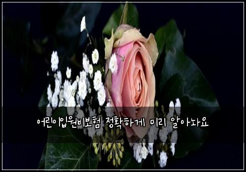 ์ด๋ฆฐ์ด์
์๋น๋ณดํ ์ ํํ๊ฒ ๋ฏธ๋ฆฌ ์์๋์
