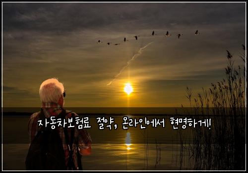 자동차보험료 절약, 온라인에서 현명하게!