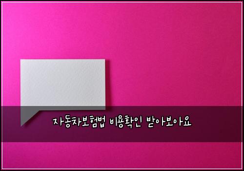 자동차보험법 비용확인 받아보아요