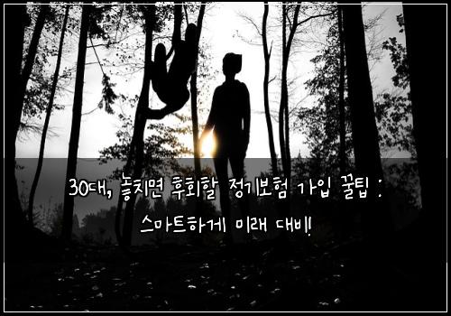 30대, 놓치면 후회할 정기보험 가입 꿀팁 : 스마트하게 미래 대비!