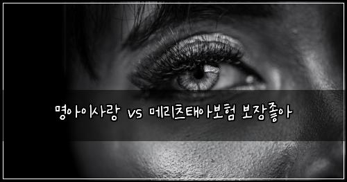 명아이사랑 vs 메리츠태아보험 보장좋아 