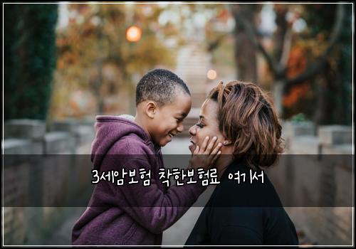 3์ธ์๋ณดํ ์ฐฉํ๋ณดํ๋ฃ ์ฌ๊ธฐ์
