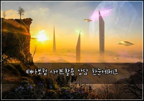 태아보험 사이트활용  상담 한눈에체크