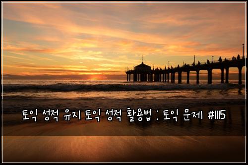 토익 성적 유지 토익 성적 활용법 : 토익 문제 #1115