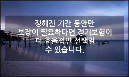 오늘의 이미지