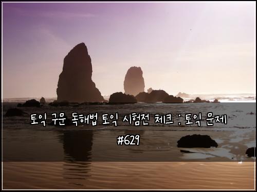 토익 구문 독해법 토익 시험전 체크 : 토익 문제 #629