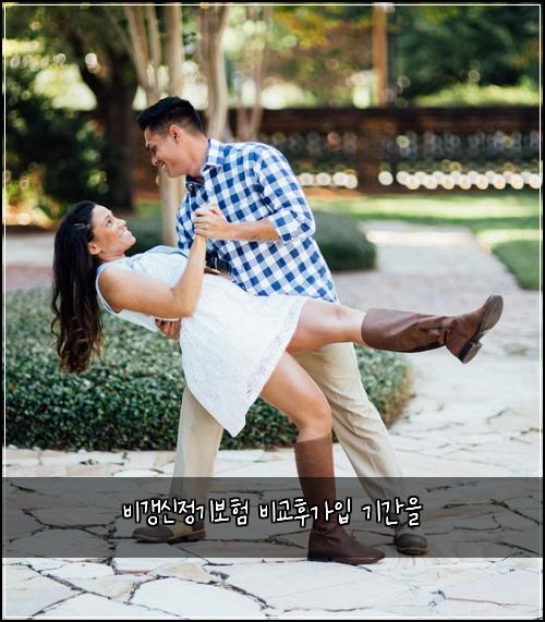 비갱신정기보험 비교후가입  기간을