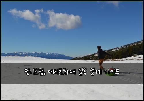 정기보험, 메리츠화재 실속 설계 가이드