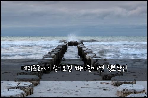 메리츠화재 정기보험 해야한다면  정보확인