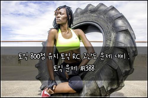 토익 800점 유지 토익 RC 고난도 문제 대비 : 토익 문제 #1388