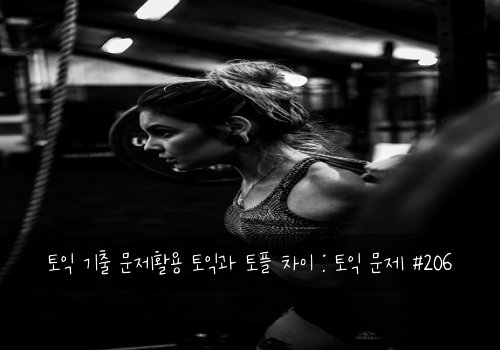 토익 기출 문제활용 토익과 토플 차이 : 토익 문제 #206