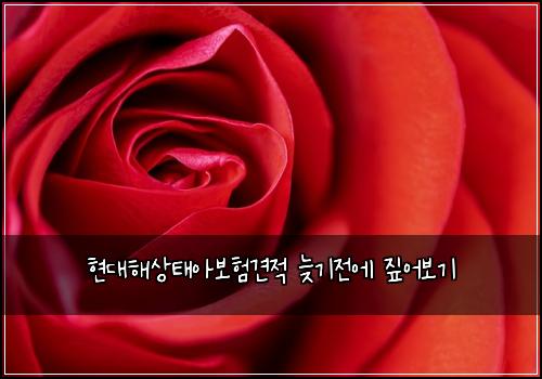 ํ๋ํด์ํ์๋ณดํ๊ฒฌ์ ๋ฆ๊ธฐ์ ์ ์ง์ด๋ณด๊ธฐ