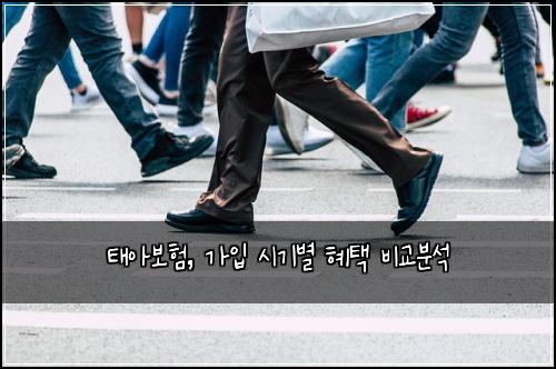 태아보험, 가입 시기별 혜택 비교분석