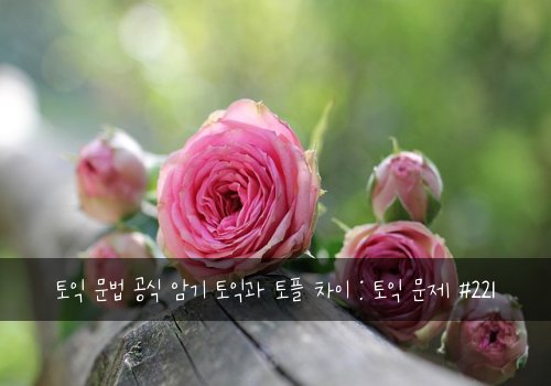 토익 문법 공식 암기 토익과 토플 차이 : 토익 문제 #221