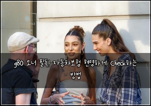 g80 오너 필독! 자동차보험 현명하게 Check하는 방법