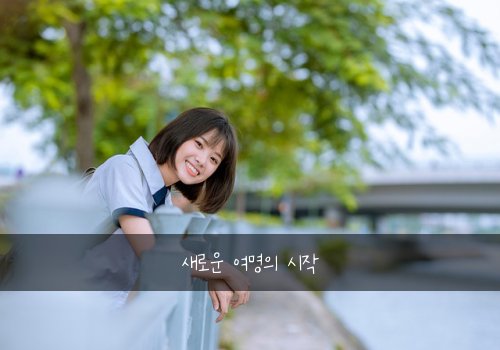 새로운 여명의 시작