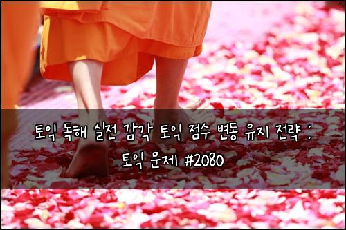 토익 독해 실전 감각 토익 점수 변동 유지 전략 : 토익 문제 #2080