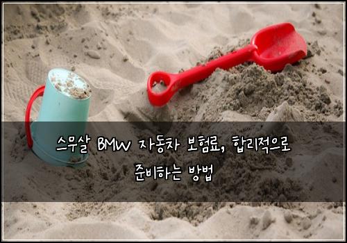  스무살 BMW 자동차 보험료, 합리적으로 준비하는 방법