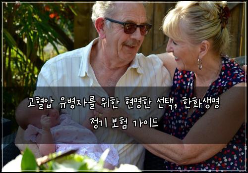  고혈압 유병자를 위한 현명한 선택, 한화생명 정기 보험 가이드