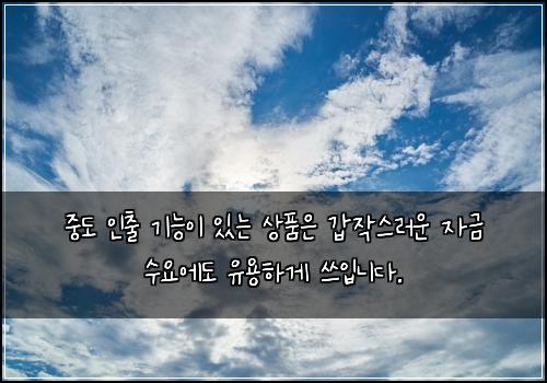 중도 인출 기능이 있는 상품은 갑작스러운 자금 수요에도 유용하게 쓰입니다.
