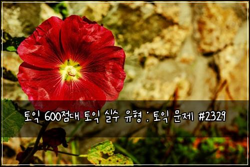 토익 600점대 토익 실수 유형 : 토익 문제 #2329
