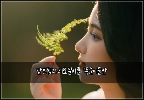 암보험과의료실비를 똑순이들만