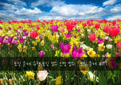 토익 문제 유형 토익 점수 인정 범위 : 토익 문제 #197