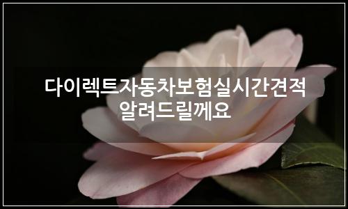 오늘의 이미지
