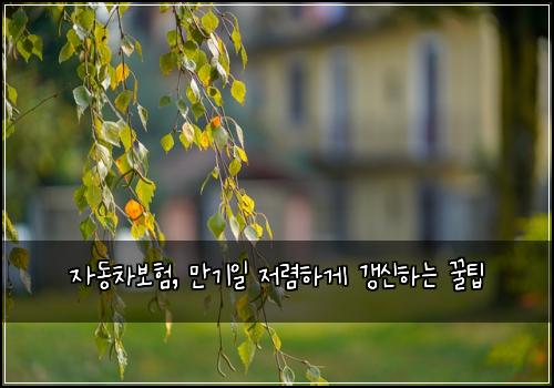  자동차보험, 만기일 저렴하게 갱신하는 꿀팁