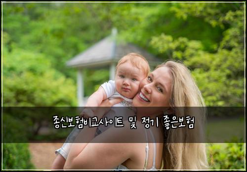 종신보험비교사이트 및 정기 좋은보험