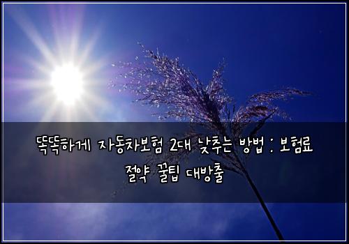  똑똑하게 자동차보험 2대 낮추는 방법 : 보험료 절약 꿀팁 대방출
