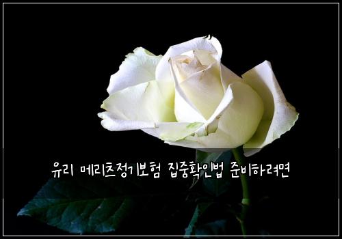 유리 메리츠정기보험 집중확인법  준비하려면