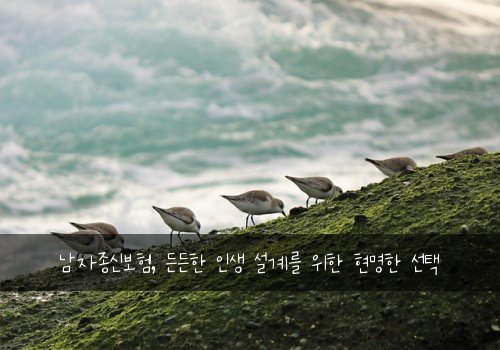  남자종신보험, 든든한 인생 설계를 위한 현명한 선택