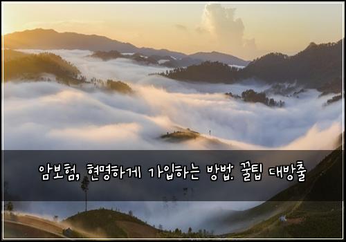  암보험, 현명하게 가입하는 방법: 꿀팁 대방출