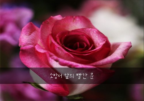 소방서 앞의 빨간 문