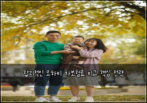  합리적인 모하비 차보험료 비교 핵심 전략