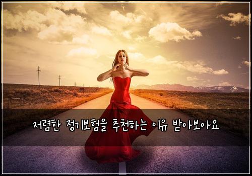 저렴한 정기보험을 추천하는 이유 받아보아요