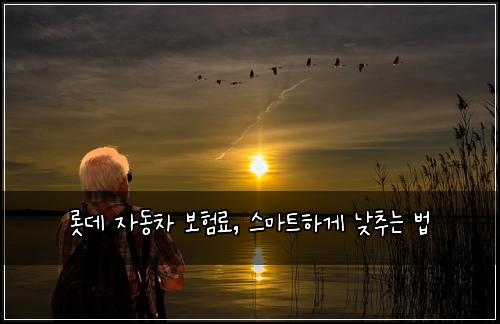 롯데 자동차 보험료, 스마트하게 낮추는 법