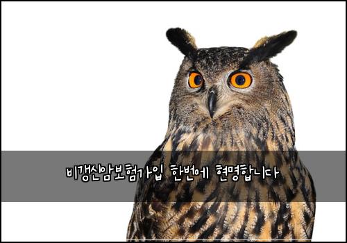 비갱신암보험가입 한번에 현명합니다