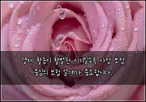 경제 활동이 활발한 시기일수록 사망 보장 중심의 보험 설계가 중요합니다.