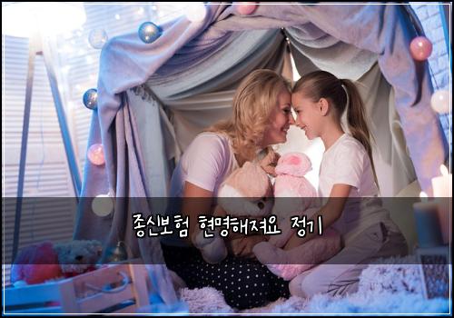 종신보험 현명해져요  정기