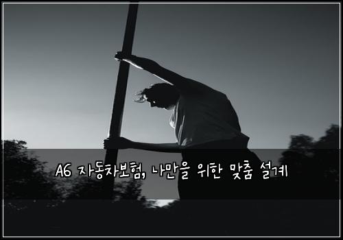 A6 자동차보험, 나만을 위한 맞춤 설계
