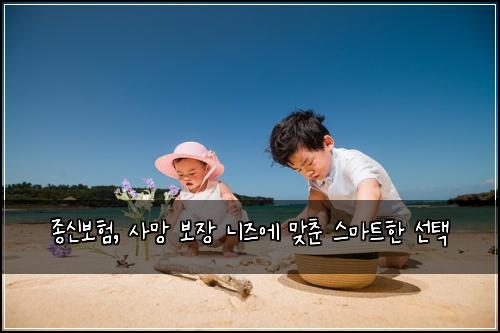 종신보험, 사망 보장 니즈에 맞춘 스마트한 선택