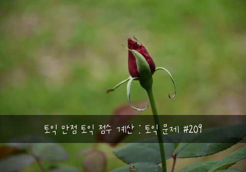 토익 만점 토익 점수 계산 : 토익 문제 #209